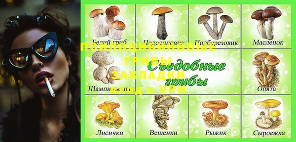 jwh Няндома