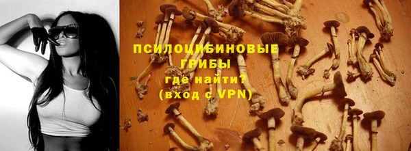 первитин Алексеевка