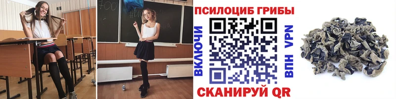 hydra tor  Бобров  Псилоцибиновые грибы Psilocybine cubensis  где купить наркотик 